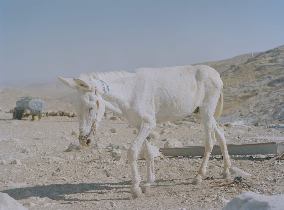 Historier fra Vestbredden, gode fester, dårlig narko, spændende visuelle koncepter (og næsten intet om Jan Grarup)