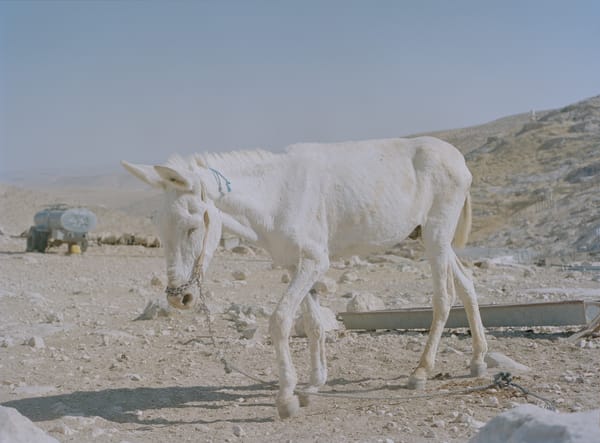 Historier fra Vestbredden, gode fester, dårlig narko, spændende visuelle koncepter (og næsten intet om Jan Grarup)